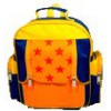 SCHOOL BAG