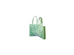 offer nonwoven bag (WL-270)图1