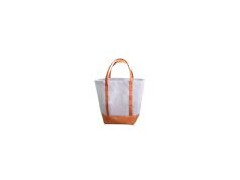 offer nonwoven bag(WL-103)图1