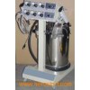 Electrostatic Powder Coating Machine (FL-21D)