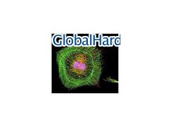 Prepared Slides (Ready for Viewing)图1