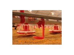 Poultry Equipment (JCSL0405)图1