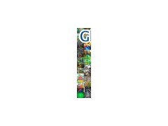 Playground Equipment (0613-5)图1