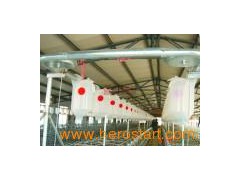 Automatic Pig Feeder for Pig Farming Equipment图1