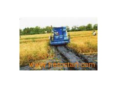 High Performance in Wet Field (4LZ-2.5)图1