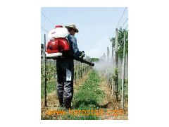 Motorized Mist Blower图1