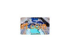 Pool Slide (DL-2011)图1