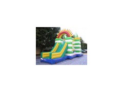 Inflatable Slide图1