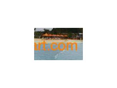 Pool Equipment图1