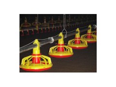 Chicken Breed System图1