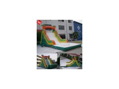Inflatable Water Slide图1