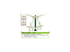 Outdoor Fitness Equipment (ATX-11167E)图1