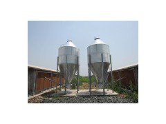 Chick Feeding Line图1