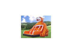 Inflatable Slide9图1