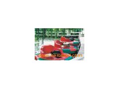 Wate Park Rides Bumper Boat图1
