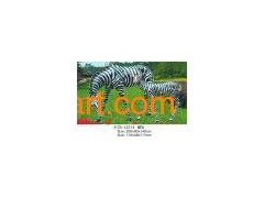 Sculpture (OL-12713)图1