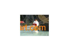 Spray Water Park- Fountain Clown图1