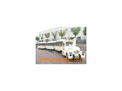 Tourist Locomotive Sightseeing Train图1