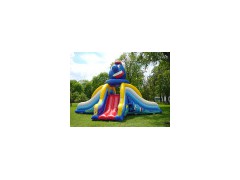 Inflatable Slide4图1