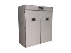 Micro-Computer Brood Machine (FRD-E)图1