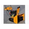 Gasoline Snow Blower (VST-1301ET)