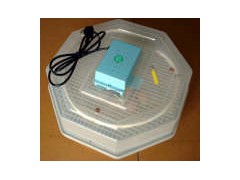 Egg Incubator (JN2-60)图1