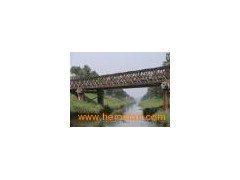 Bailey Bridge(0)图1