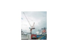 30 Tons or 20 Tons Luffing Jib Tower Crane (QD400)(0)图1