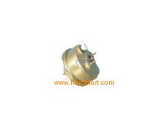 Vacuum Booster (DACIA TS173)图1
