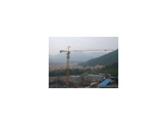 12 Tons Topkit Tower Crane (Q6024(A))(0)图1