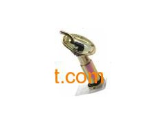 Daewoo Electric Fuel Pump TS-BZ101图1