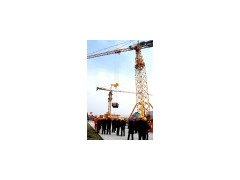 50 Tons Topkit Tower Crane (Q1250)(0)图1