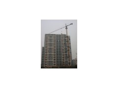 4 Tons Topkit Tower Crane (Q4510)(0)图1