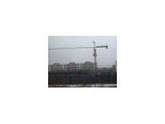 6 Tons Topkit Tower Crane (Q5513)(0)图1
