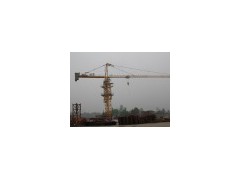 10 Tons Topkit Tower Crane (Q6018(A))(0)图1