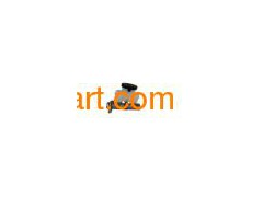 Brake Master Cylinder (IS-01006)图1