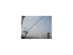 6 Tons Luffing Jib Tower Crane (QD85)(0)图1