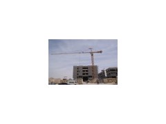 10 Tons Topkit Tower Crane (F0/23B(C))(0)图1