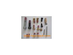 Brake Caliper Bolt (TSB)图1