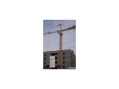 8 Tons or 6 Tons Topkit Tower Crane (Q6013)(0)图1