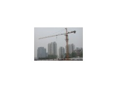 6 Tons Topkit Tower Crane (Q5013(A))(0)图1