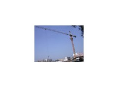 8 Tons Topkit Tower Crane (Q5015)(0)图1