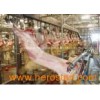Sheep Slaughter Abattoir