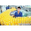 Turn-Key Fruit Juice Processing Plant