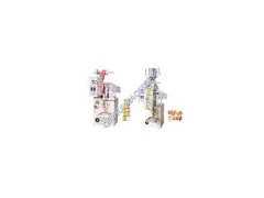 Auto Vertical Packaging Machine图1