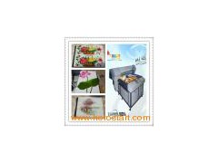 Ceramic Printing Machine图1