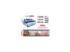 EVA Insole Printing Machine图1