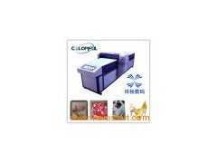 Cell Phone Cover Digital Printing Machine (COLORFUL6025)图1