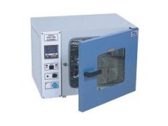 Drying Oven (DHG)图1