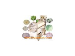 Multi-function Vegetable Cutting Machine图1